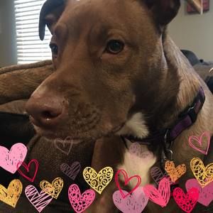 Meet your Posher, Janet